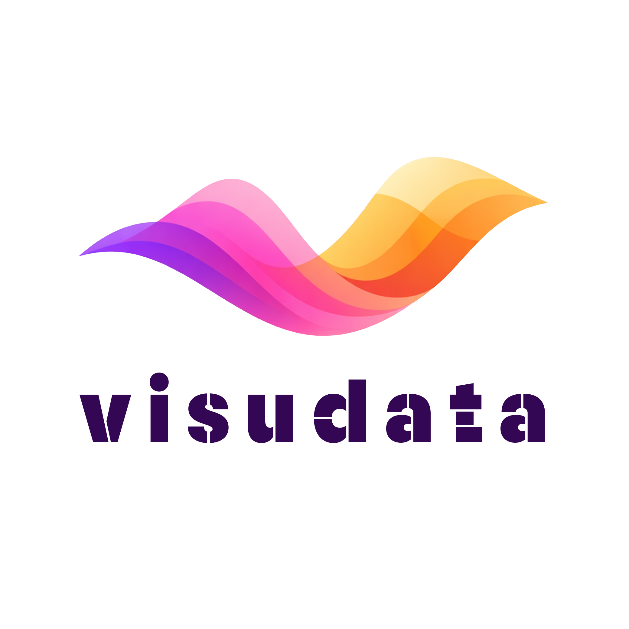Visudata